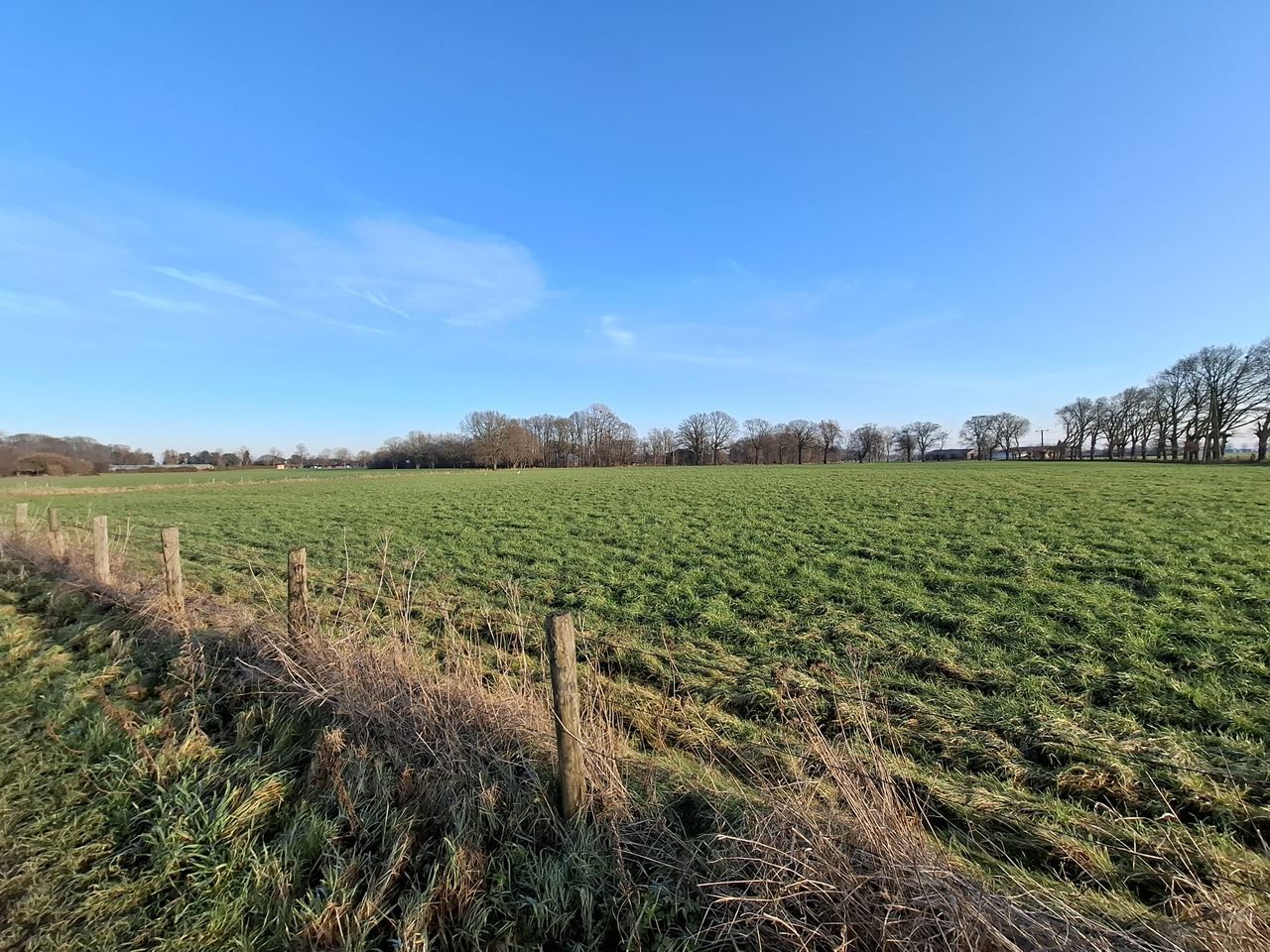 Umgebung - Natur Pur!