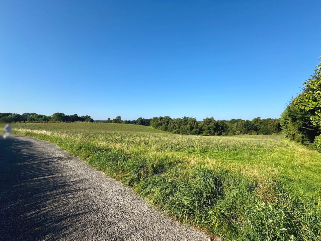 Natur pur direkt vor der Haustüre