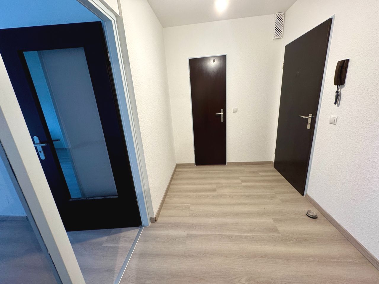 geräumige Diele mit Abstellraum 