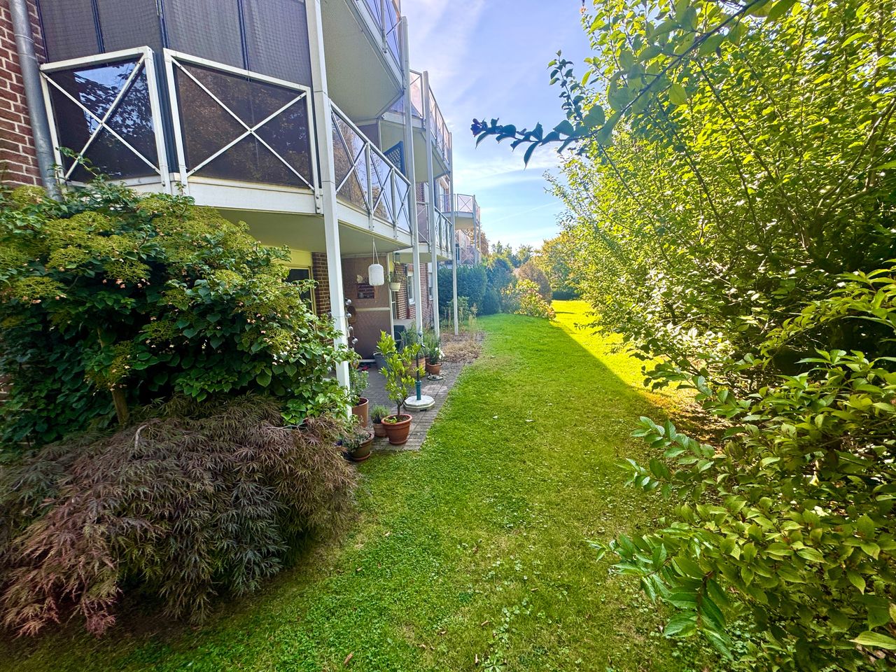schöne grüne Aussicht