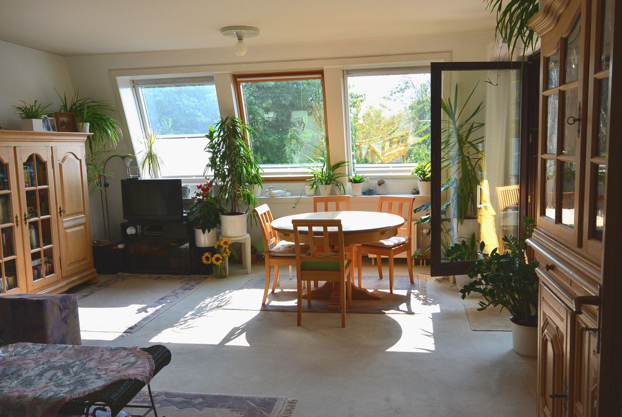 Schöne Fensterfont im Wohn-Essbereich